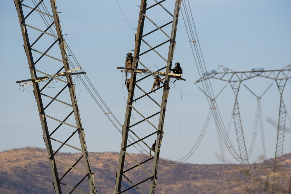 BAfD aprueba préstamo para segunda fase de proyecto de transmisión de energía en Madagascar